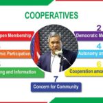 Government forms loan recovery tribunal for cooperatives