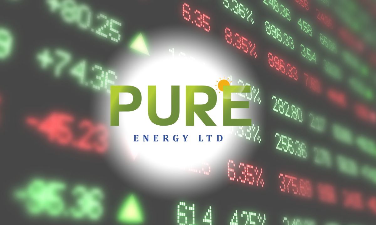 Pure Energy Leads with 10% Surge as Key Companies Show Big Moves in Nepse Market