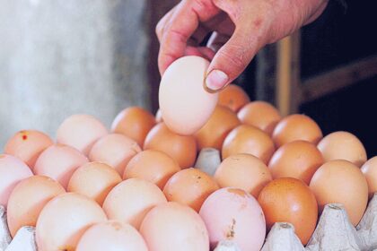 Egg price rise again: What is the new price?