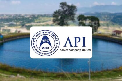 Api Power to buy Divya Jyoti Hydropower: who will own the shares?