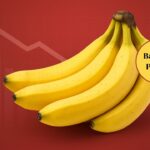 Banana price drop, how much per dozen?