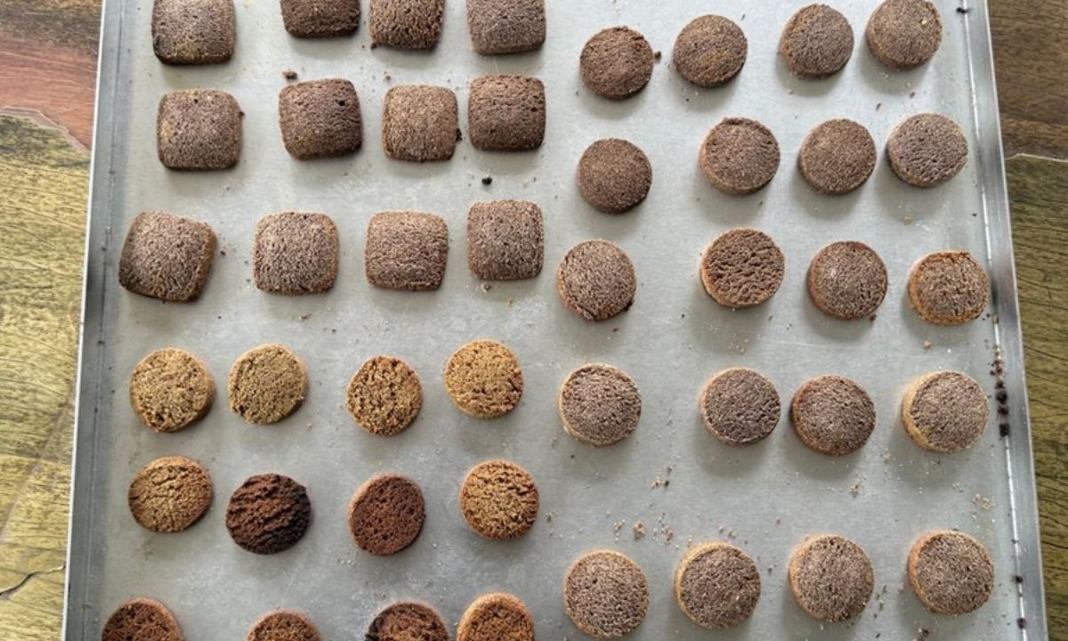 Kodo biscuit factory set up in Myagdi