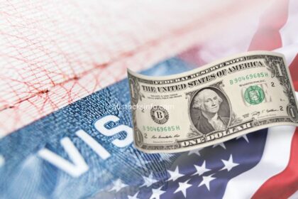 DV lottery 2027: US from now needs 1 dollar fee, how to pay?