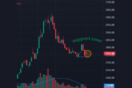 NEPSE market ends higher as hammer candlestick appears at support zone