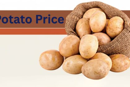 Potato prices rise sharply in local markets