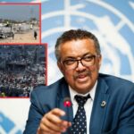 Gaza needs at least $7 billion to rebuild its destroyed health system, says WHO